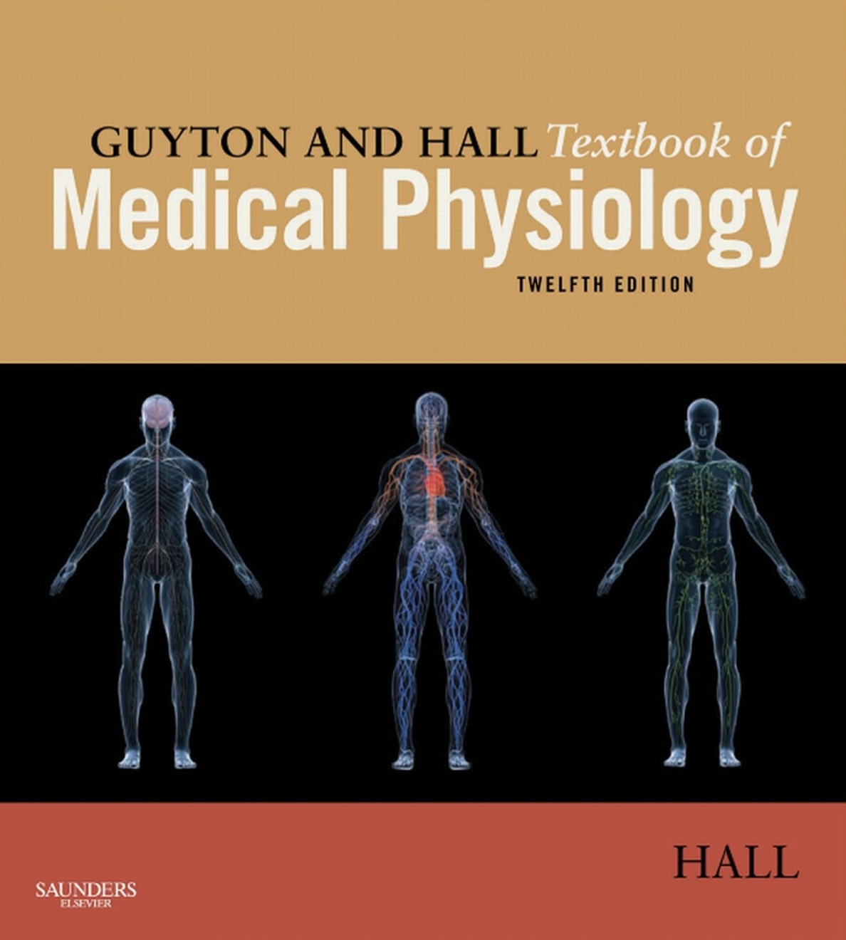Guyton and Hall Textbook of Medical Phys