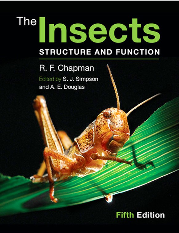 The Insects  Structure and Function