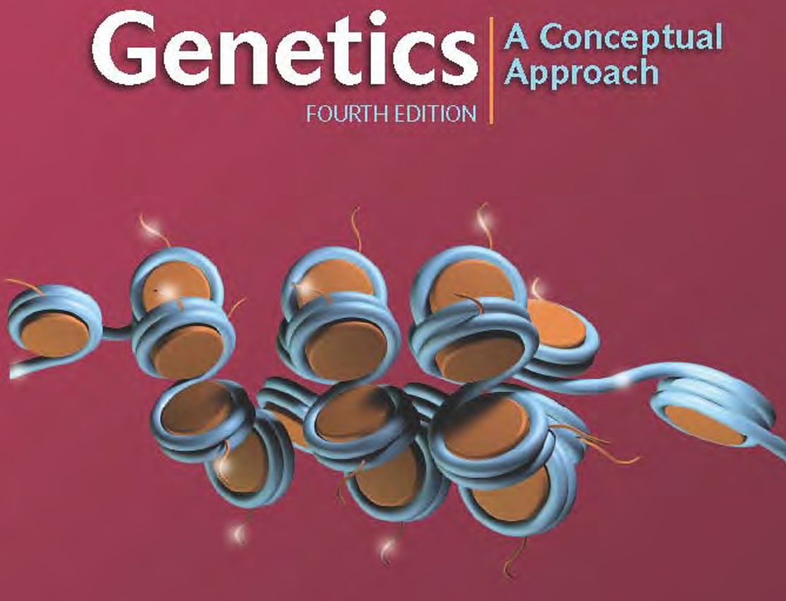 pierce genetics conceptual apprpach11