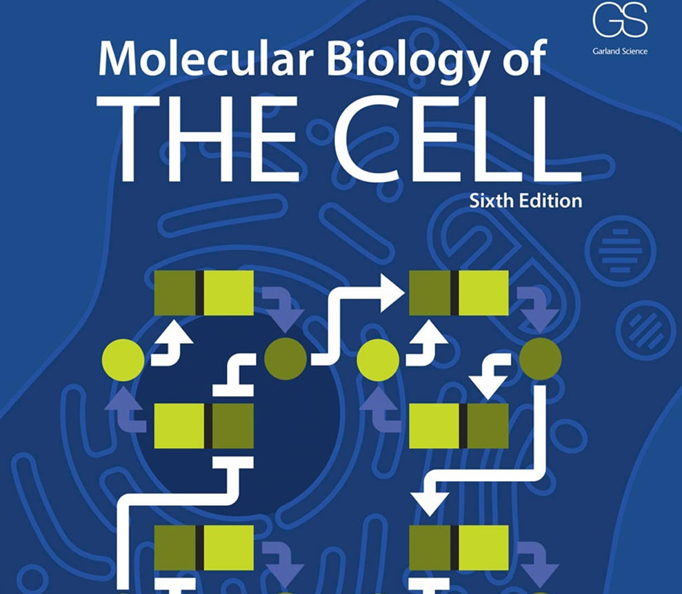 Molecular Biology of The Cell