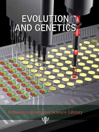 Evolution And Genetics
