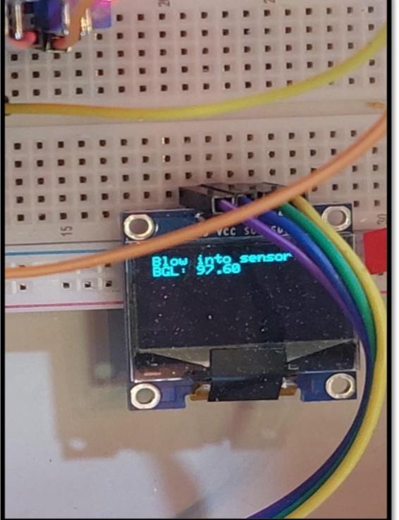 Implementation of a device to detect Glu