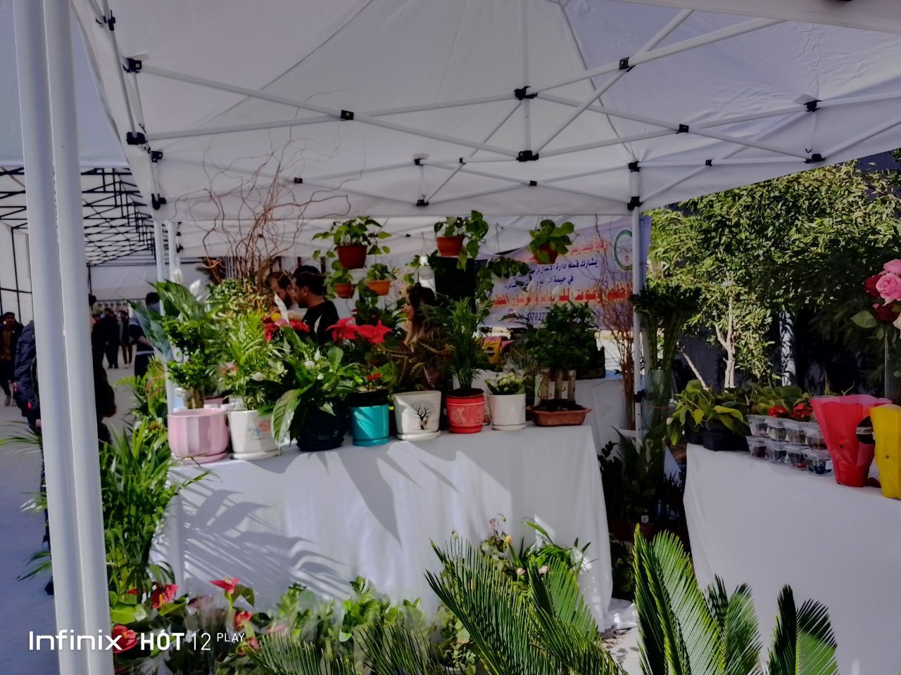 حصاد اسبوع الاستدامة/ معرض الاقتصاد الاخضر ودوره في تنقية البيئة واضفاء نمط حياة صحي