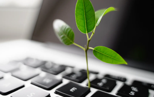 مقال بعنوان "التعليم الأخضر: طريق لبناء مستقبل مستدام" لعميد كلية الفنون الجميلة الاستاذ الدكتور هدى هاشم الربيعي 