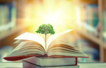 مقال بعنوان "من الفصول الدراسية إلى الطبيعة: أهمية التعليم المستدام" لعميد كلية الفنون الجميلة الاستاذ الدكتور هدى هاشم الربيعي 