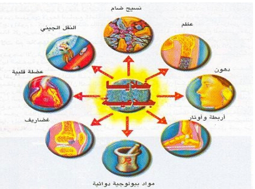 مقالة علمية للتدريسية ايمان وهاب كاظم بعنوان:- الخلايا الجذعية و الطب التجديدي