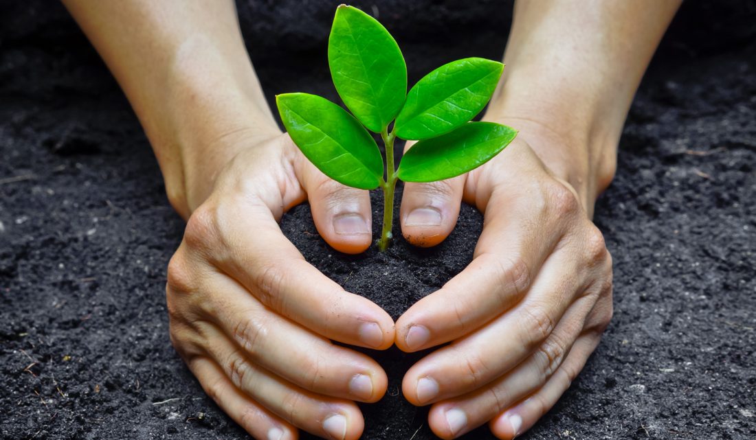 (أن قامت الساعة وفي يد أحدكم فسيلة فإن استطاع أن لا يقوم حتى يغرسها فليغرسها )) . حديث شريف