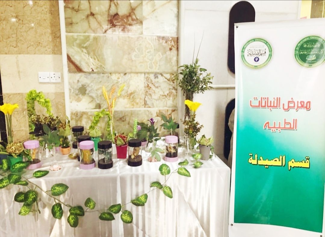 المهرجان التاسع لكلية المستقبل الجامعة - معرض النباتات الطبيعية 