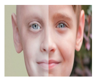 Scientific article for teaching M. Iman Wahab Kazem entitled: -Cancer And Immune System Programming