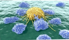 نشر مقالة علمية للتدريسة الدكتورة (رشا فاضل عبيد)بعنوان(Oncolytic virotherapy)