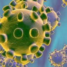 تم نشر مقالة للتدريسي الآستاذ المساعد (محمد عبد الزهرة صعصاع الموسوي) والتدريسي الآستاذ المساعد (علي فاضل زيدان العمران) بعنوان ((Intensive Care Admission Rate Due To COVID-2109)0))