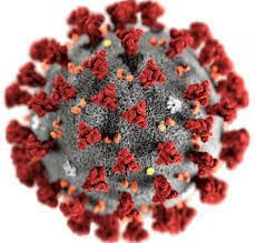 COVID-19 (coronavirus): Long-term effects By dr.Rawaa M.Mphammed 