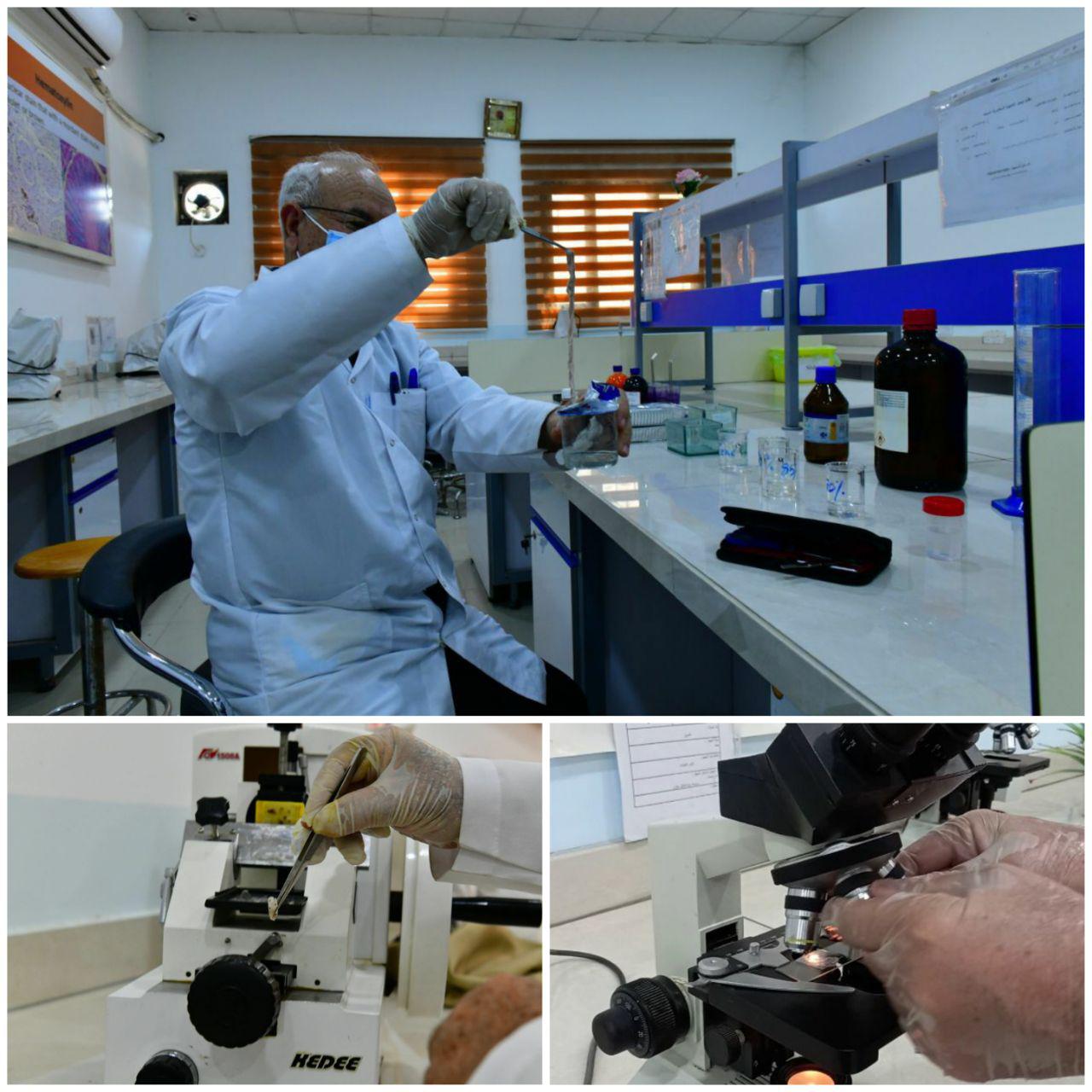 كلية المستقبل الجامعة .. قسم تقنيات المختبرات الطبية يبدء استعدادتهم لتطبيق التعليم المدمج