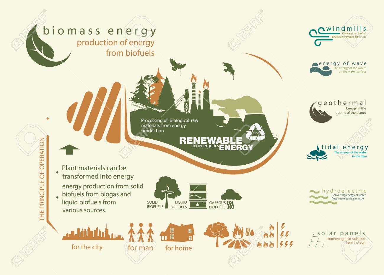 Biomass Energy