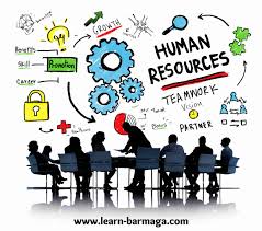 مقال علمي تحت عنوان "اهمية تدقيق ادارة الموارد البشرية"