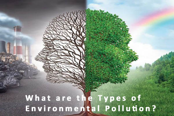Environmental pollution 