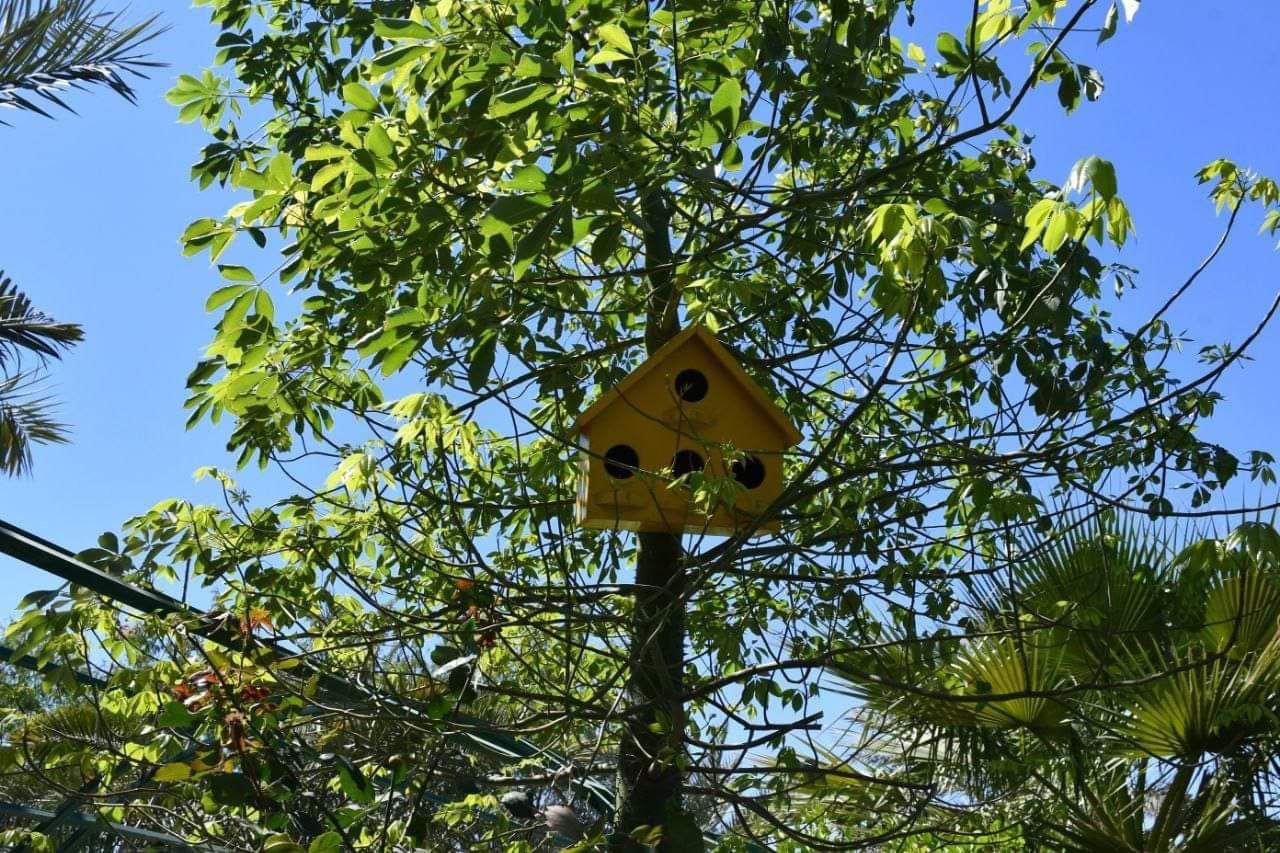  من أجلِ بيئة طبيعية مفعمة بالأمل