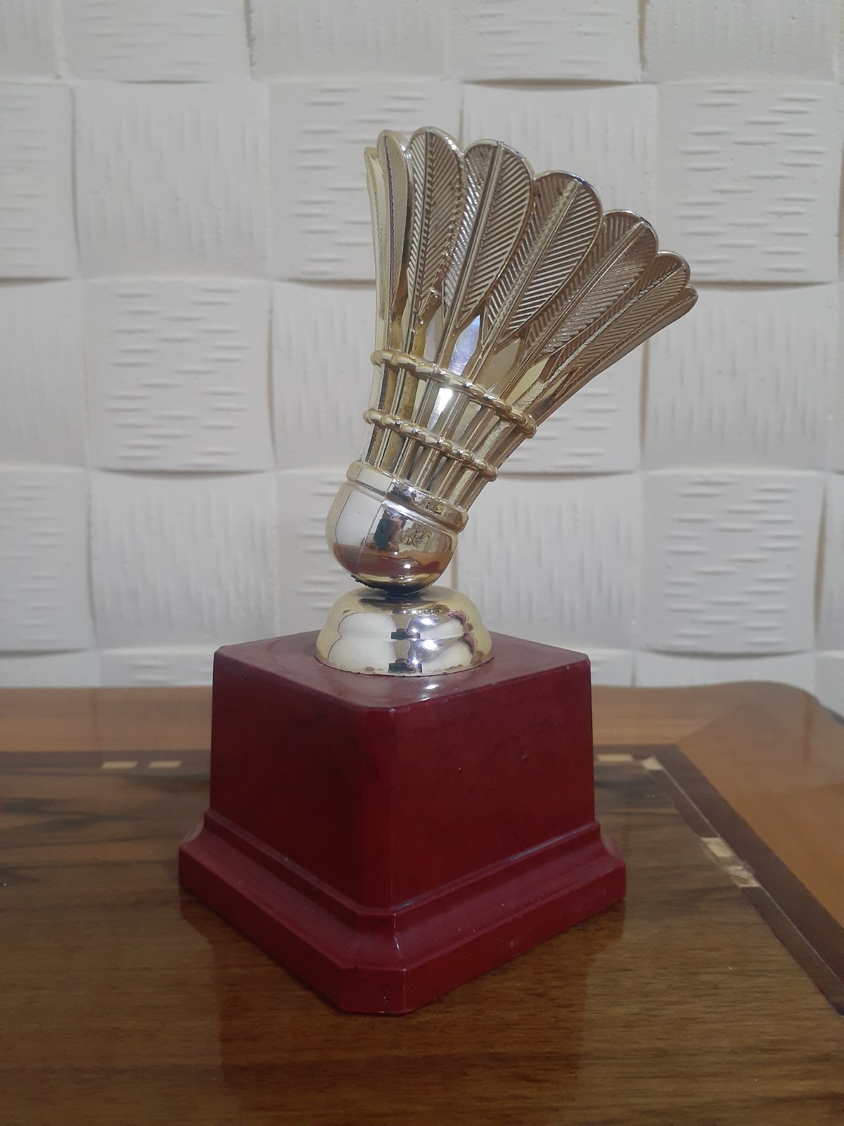 بطولة العراق بالريشة الطائرة