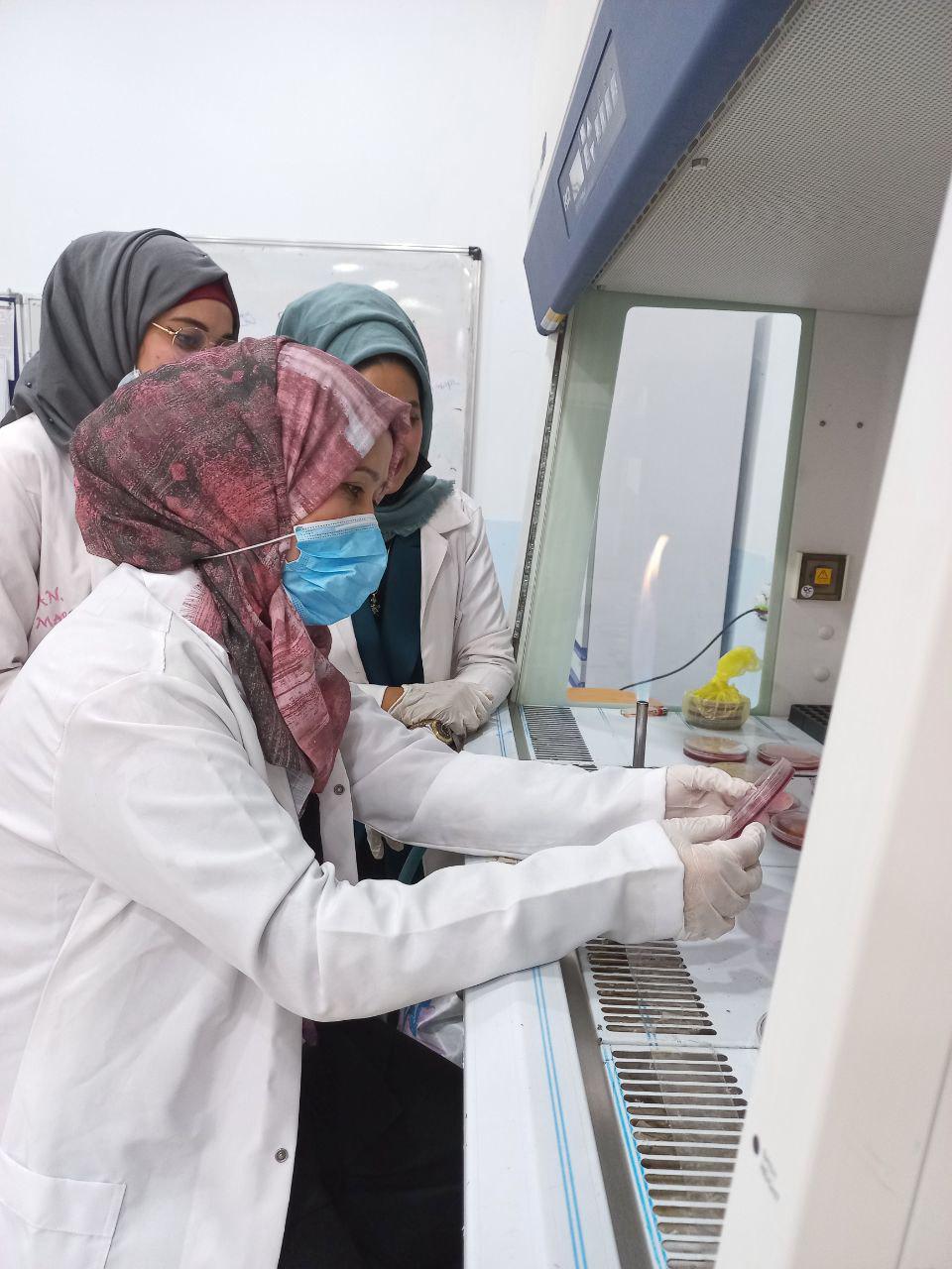 قسم تقنيات المختبرات الطبيه يقيم ورشه عمليه لماده البكتريا التشخيصية 