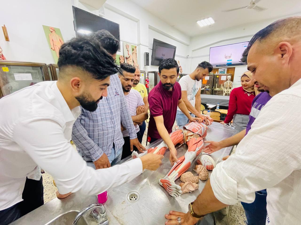 علم التشريح في الطب الرياضي