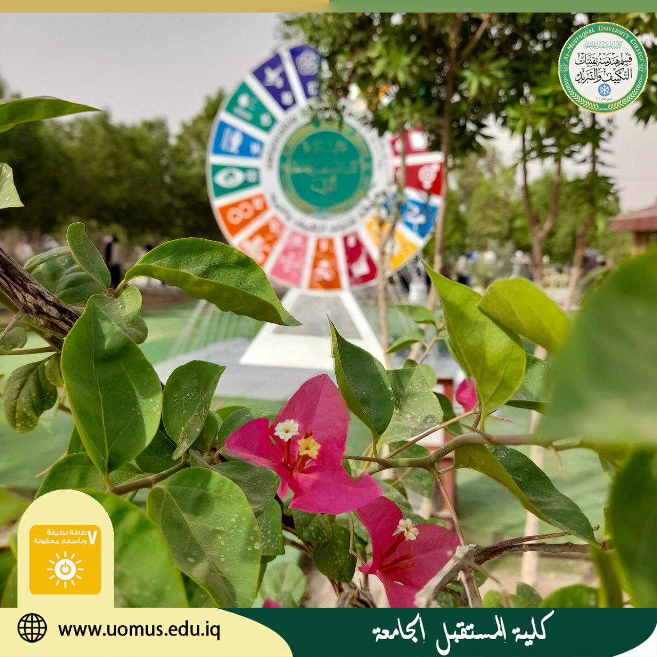 إدامة نصب الطاقة المستدامة 