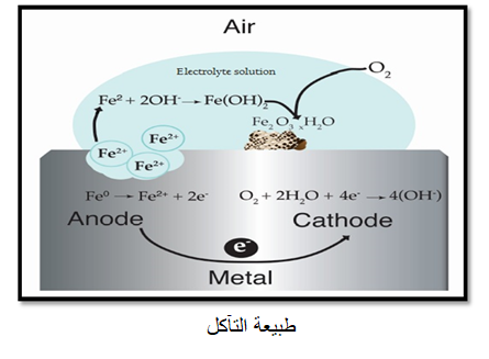 مثبطات التآكل العضوية مقالة علمية للتدريسية م.م نور رائد هادي 