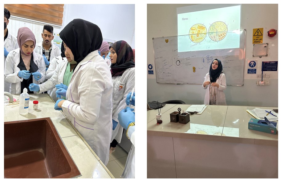 قسم تقنيات المختبرات الطبية يقيم ورشة علميه بعنوان general stool examination