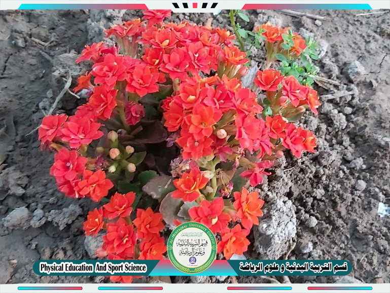 حملة تطوعية من قبل تدريسيات في قسم التربية البدنية و علوم الرياضة بعنوان" لتبقى مدرستي خضراء "..