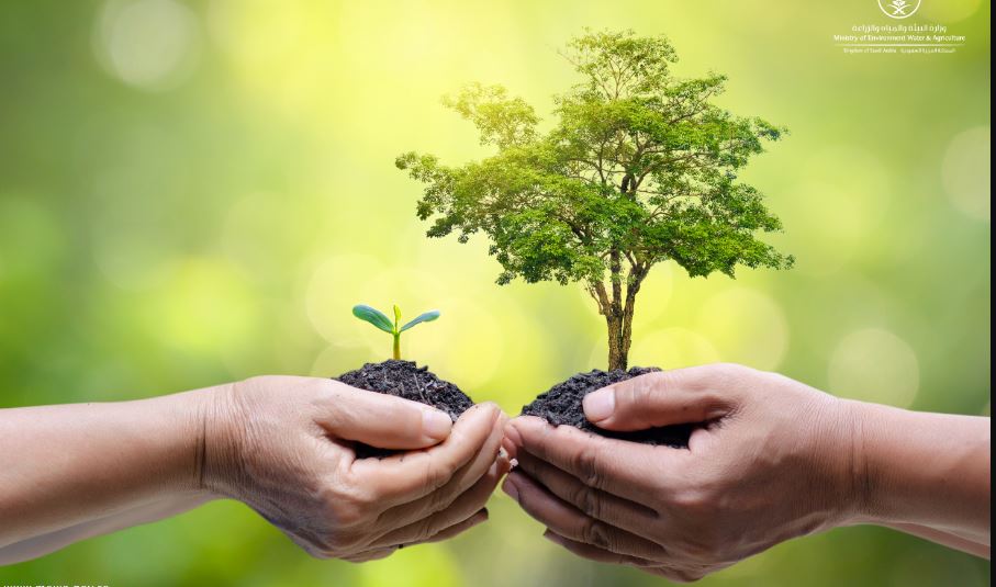 حملة تشجير لزيادة الرقعه الخضراء  