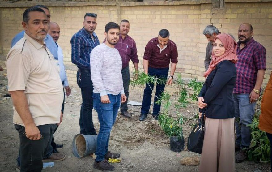 حملة تشجير في مدرسة صفي الدين الحلي في بابل