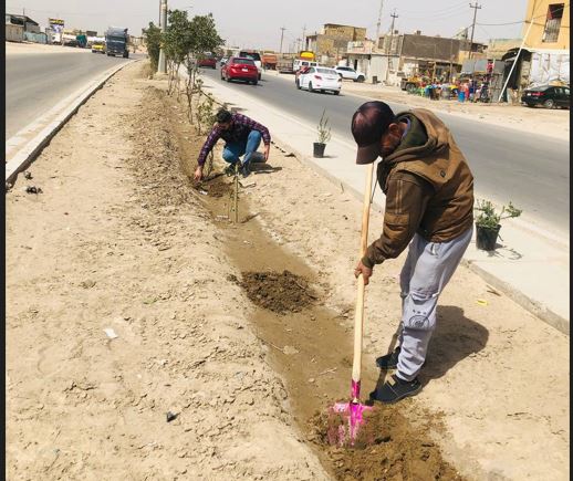 يوم الزراعة العالمي ( زراعة بعض الشتلات في احدى المتنزهات في بابل ) 