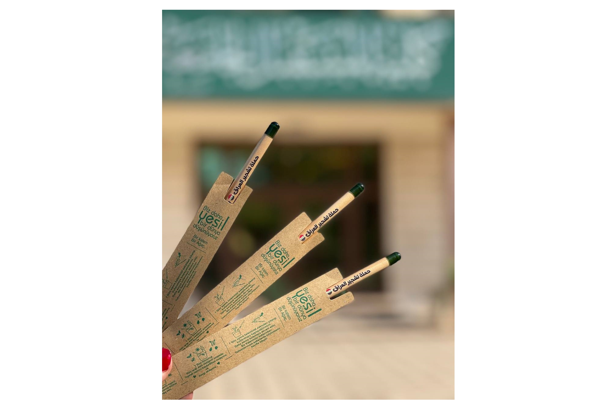 An afforestation campaign to achieve the goals of sustainable development