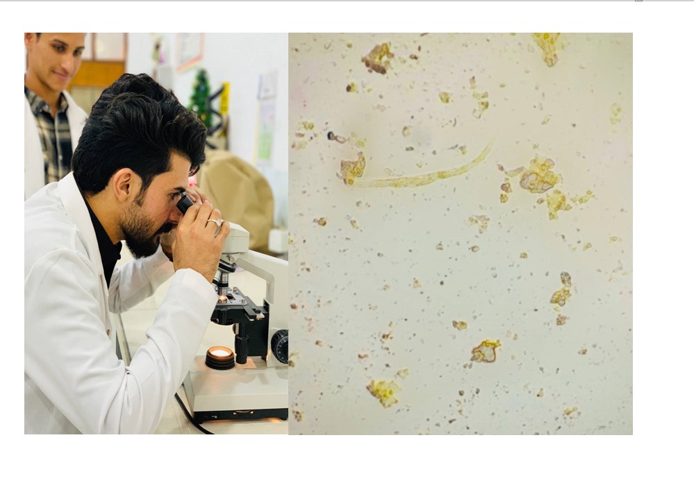 قسم تقنيات المختبرات الطبية في كلية المستقبل الجامعة يقيم ورشة عن مجموعة من الفحوصات المختبرية لعينات من مياه نهر الحلة  