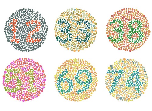 ورشه علمية تعلمية بعنوان (تحديد العمى الالوان الجزئي لبعض طلاب البصريات )