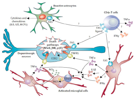 Advances in the Treatment of Parkinson’s Disease