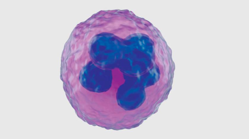 ما هيه اهمية ايقاظ الخلايا السرطانية النائمة مقالة علمية للست نور فراس 