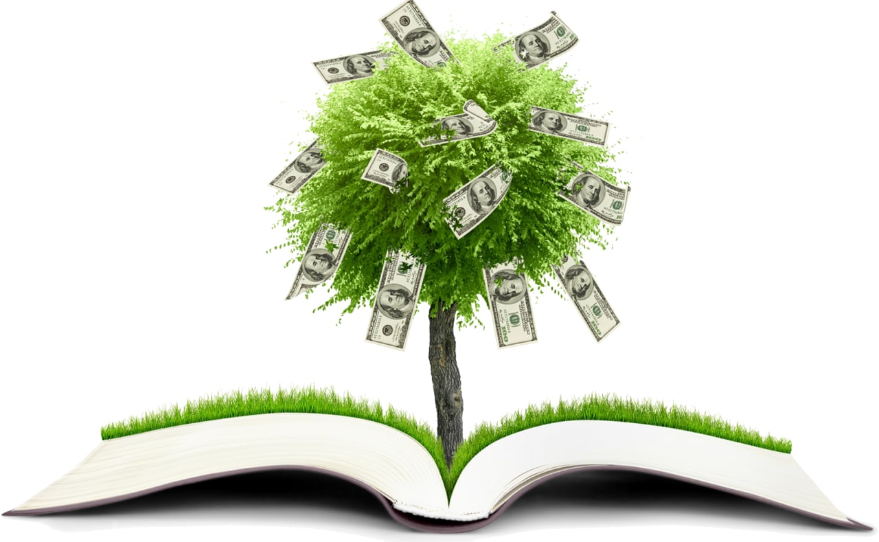 مقال علمي تحت عنوان ( محو الامية المالية Financial literacy)