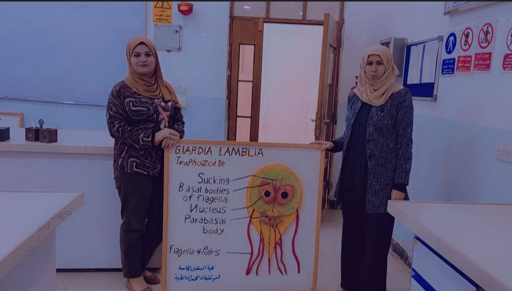 قسم تقنيات المختبرات الطبية في كلية المستقبل الجامعة عمل مجسم ل طفيلي Giardia lamblia (Trophozoite)