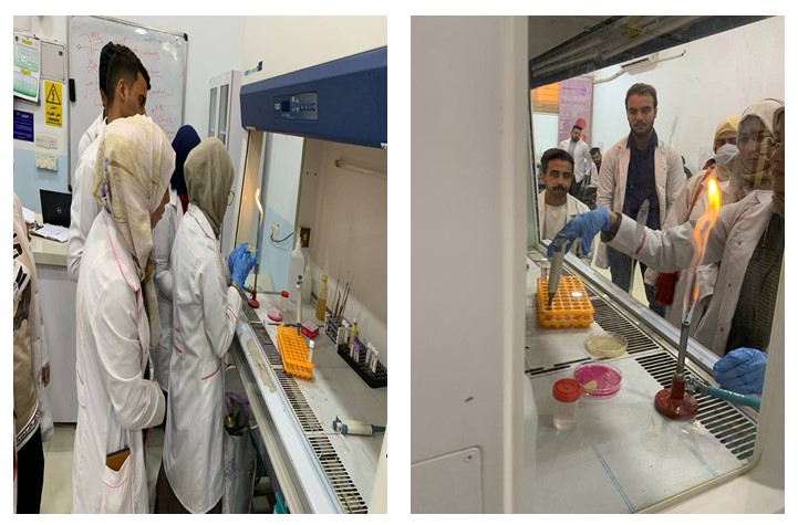 قسم تقنيات المختبرات الطبية في كلية المستقبل الجامعة يقيم ورشة تعليمية تحت عنوان Biochemical test
