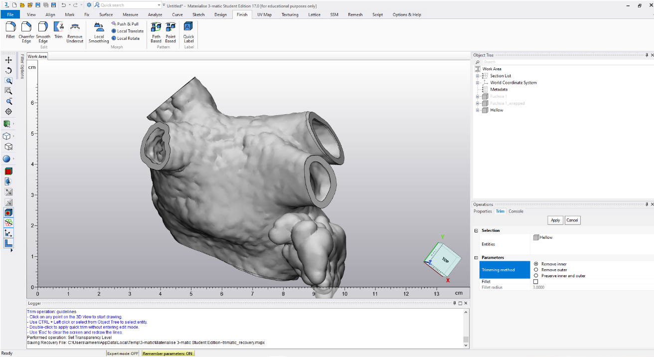 ندوة علمية بعنوان بناء شكل ثلاثي الابعاد للاعضاء الحيوية باستخدام الصور المقطعية للمفراس 