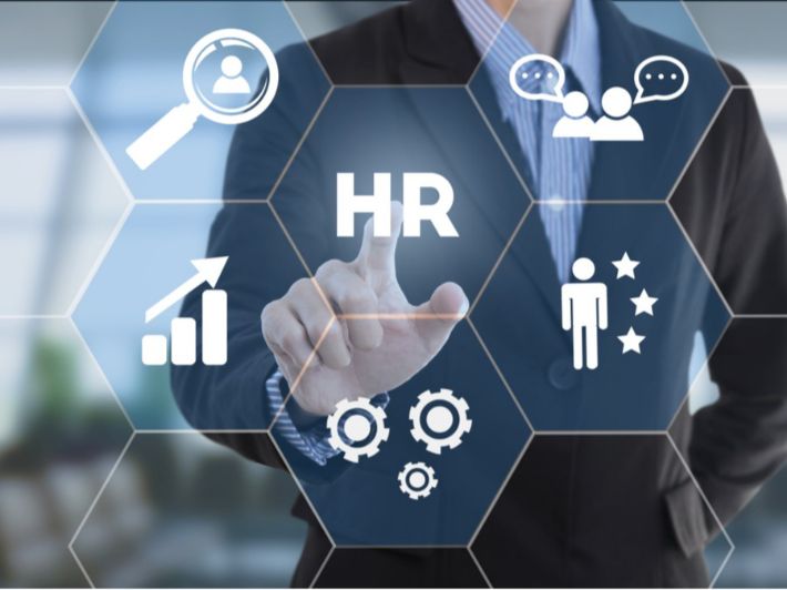 اقسام الموارد البشرية