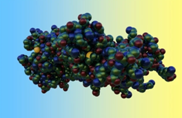 Virulence factors in bacteria
