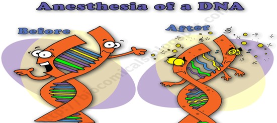 مقالة علمية في قسم تقنيات التخدير للتدريسية (م.م. هدى صباح جبر) بعنوان (Neuraxial Anesthesia as General Anesthesia Damage DNA)