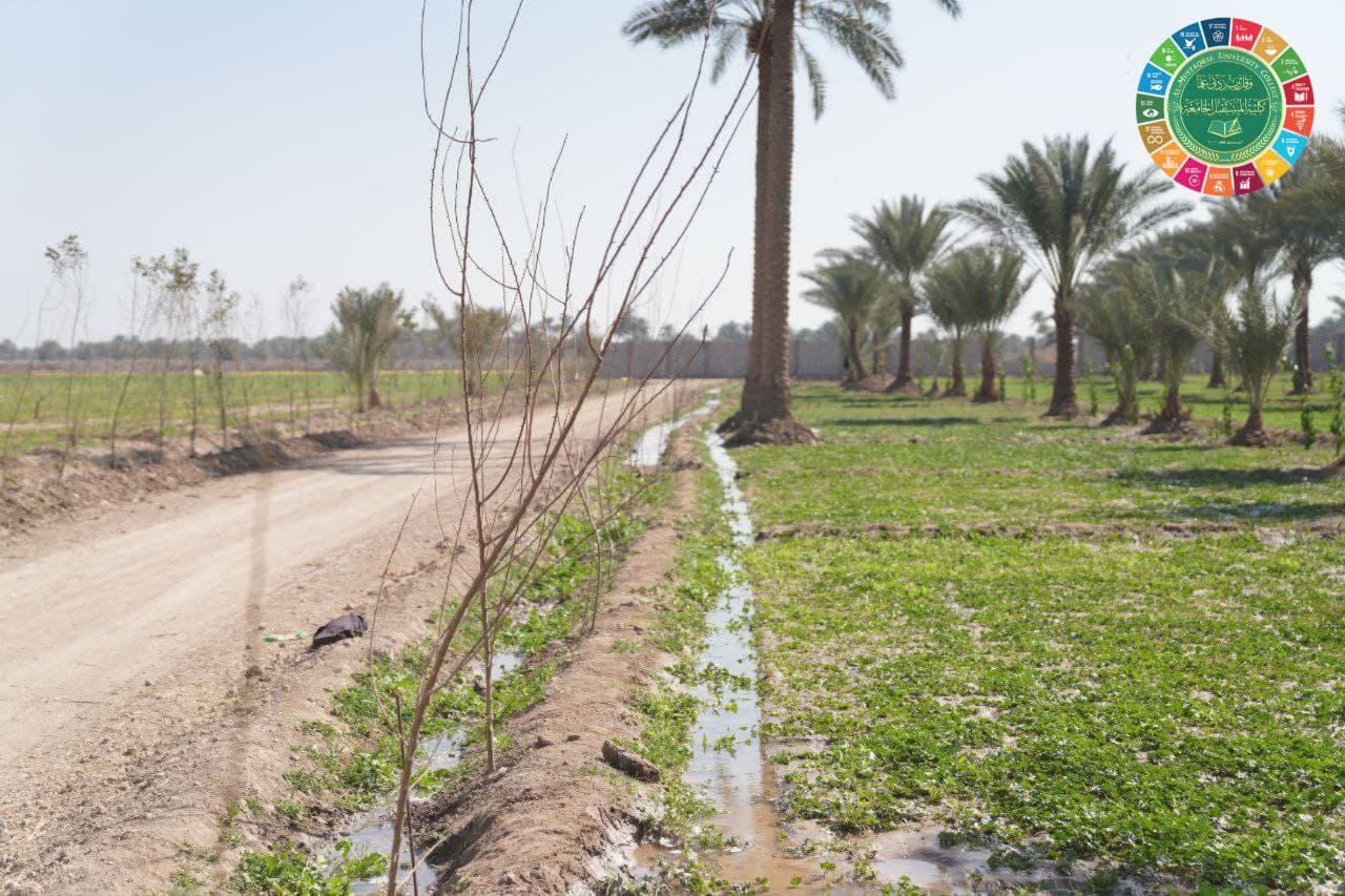 استمرار الحملات التطوعية التي تنظمها الشعبة الهندسية و الطلابية  في كلية المستقبل الجامعة في مجال الزراعة المخصصة المنتجة و المستدامة  و تامين الآمن الغذائي .. 