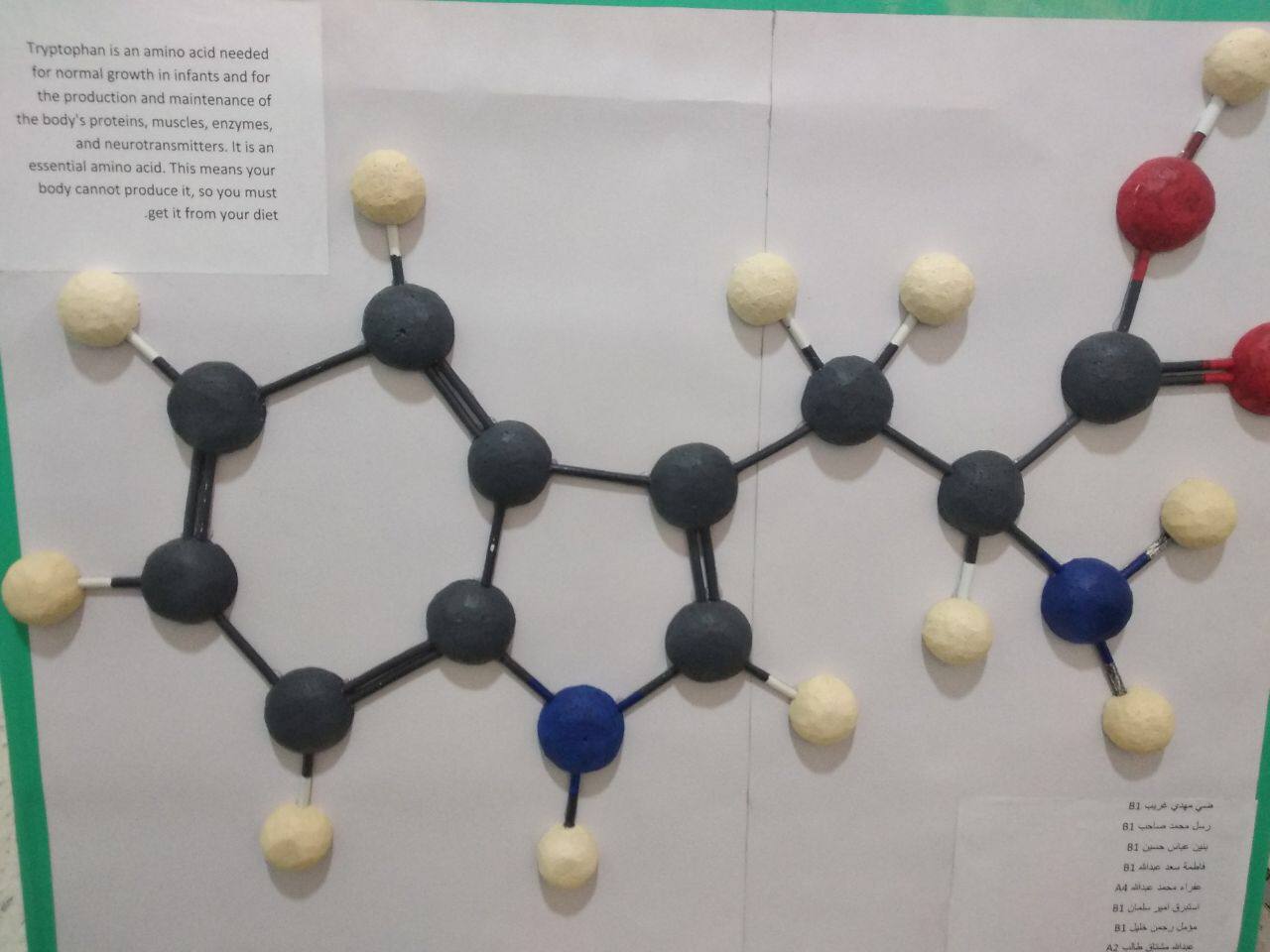 Activity on STRUCTURE OF TRYPTOPHAN in the pharmacy department