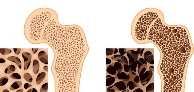  للمعيدة  م. سارة عباس مسلم 
