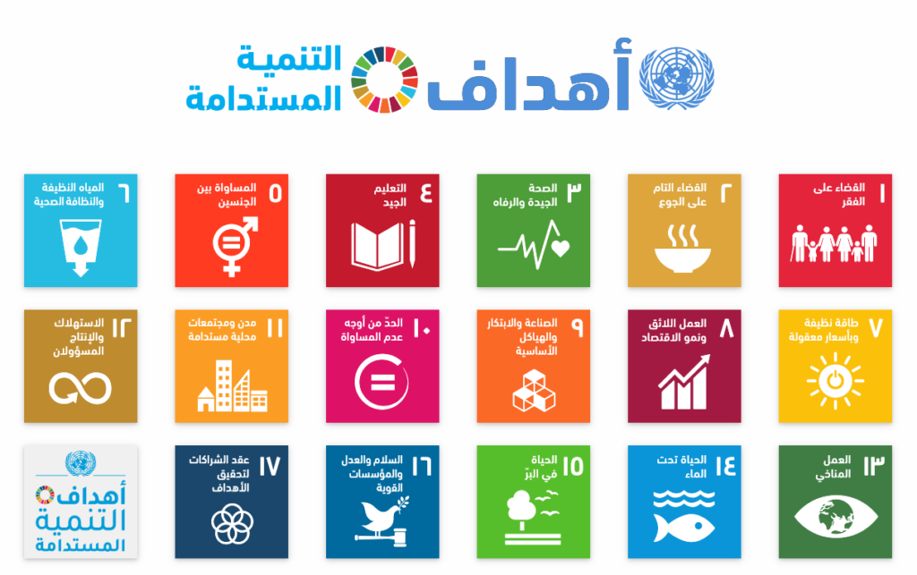 دور التعليم العالي في تحقيق أهداف التنمية المستدامة