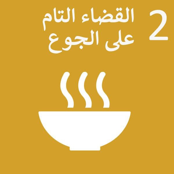 قسم ادارة الاعمال ينفذ حملة لتوزيع السلات الرمضانية وهو الهدف الثاني للتنمية المستدامة ( القضاء على الجوع ) 
