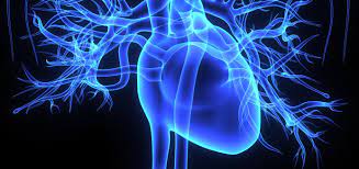 Scientific article  Asst. L Hayder Nazar Jawoosh