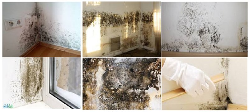 دراسة تعريفية وتفصيلية لأسباب تشوهات المباني الانشائية المشيدة في محافظة بابل